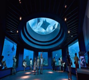 singapore oceanarium