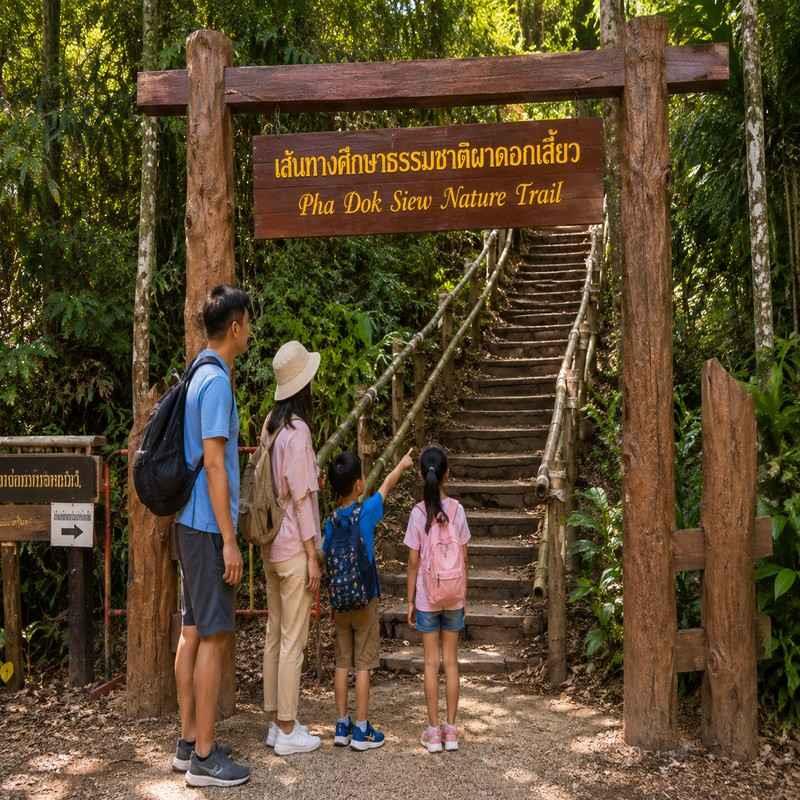 pha dok siew nature trail chiang mai kid