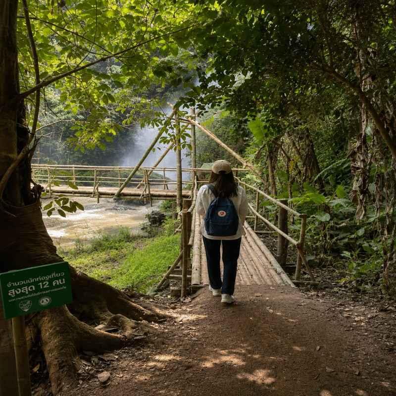 pha dok siew nature trail chiang mai solo