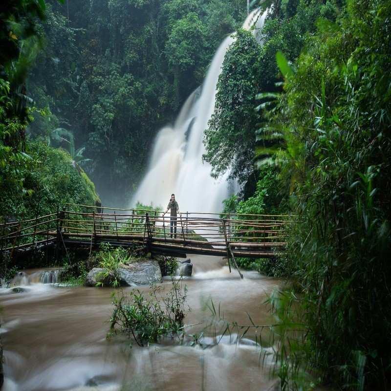 pha dok siew nature trail pha dok siao chiang mai