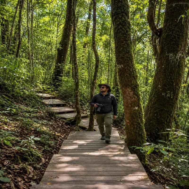 kew mae pan nature trail chiang mai solo