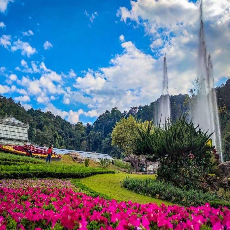 queen sirikit botanic garden chiang mai