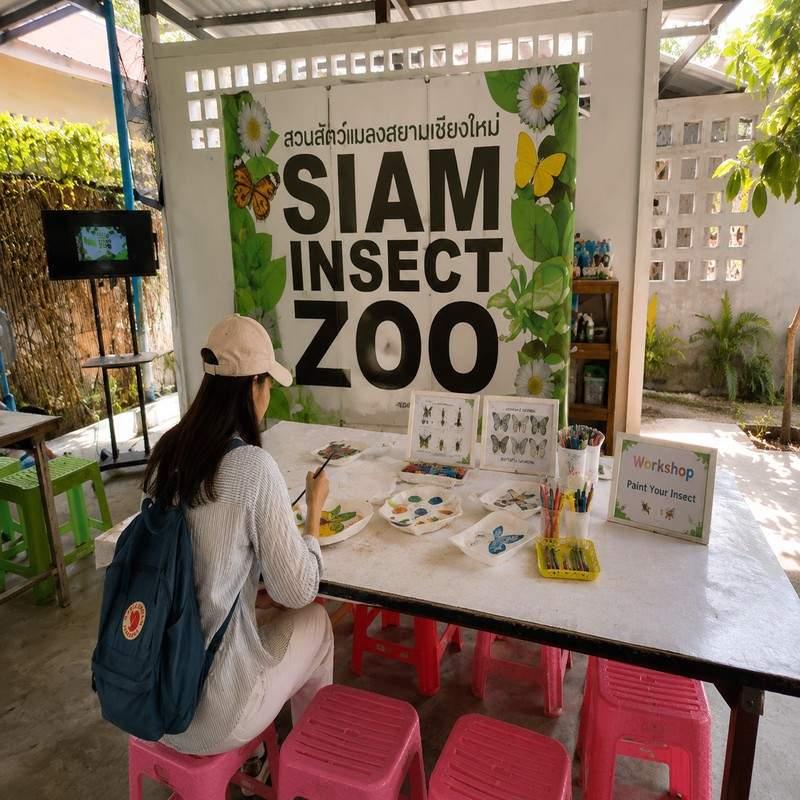siam insect zoo chiang mai solo