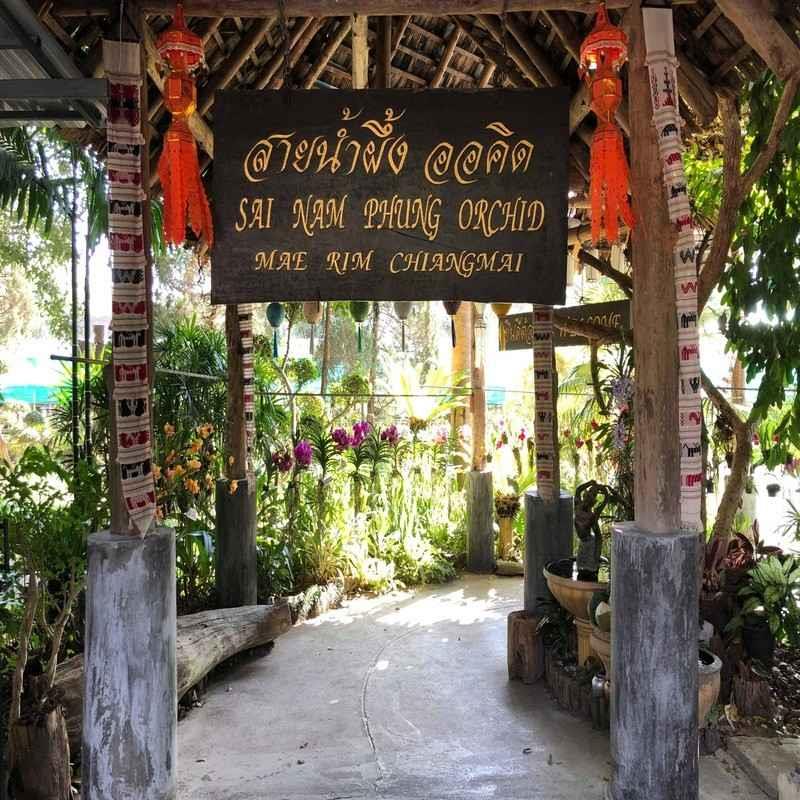 sai nam phung orchid farm chiang mai