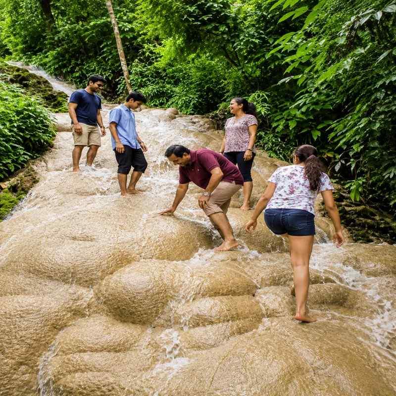 bua tong waterfalls chiang mai family
