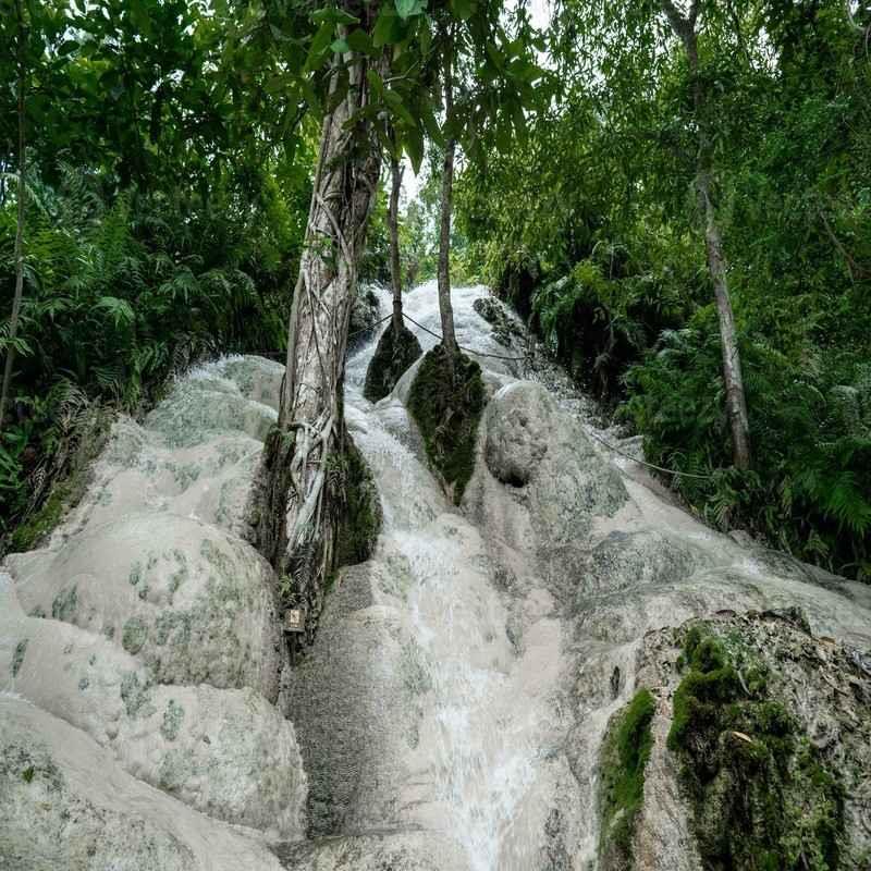 bua tong waterfalls chiang mai