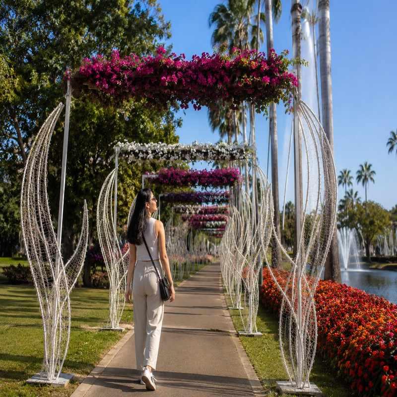 nong buak haad public park chiang mai solo