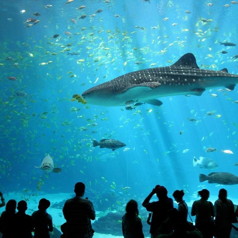 underwater world pattaya