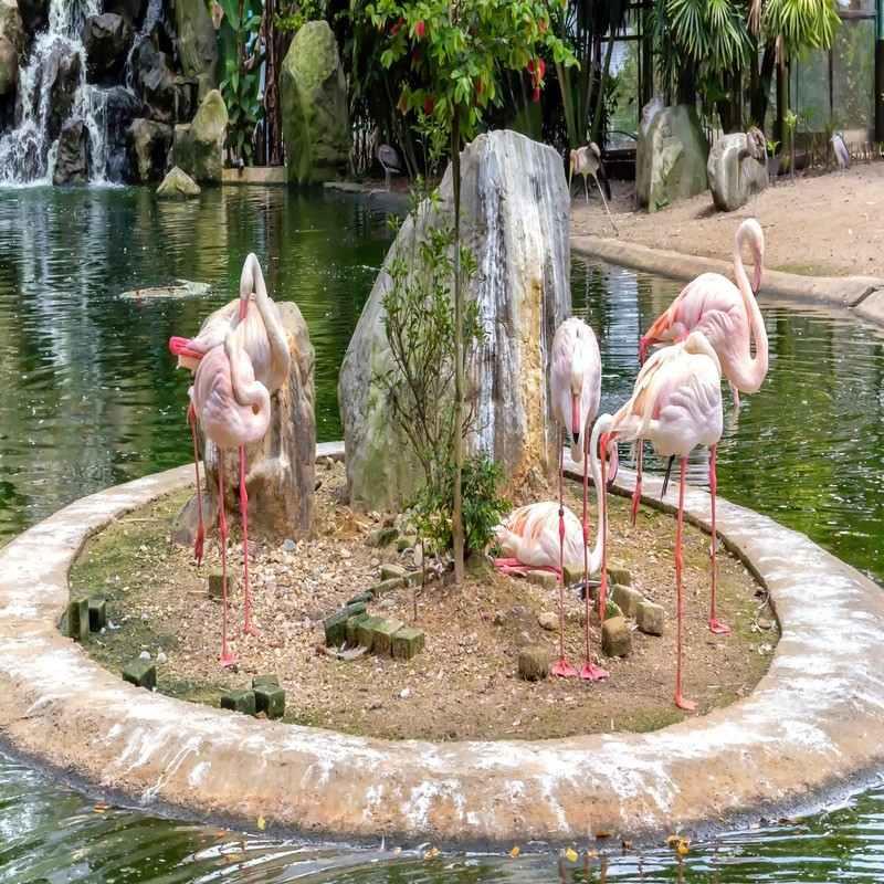 kl bird park kuala lumpur 100kb