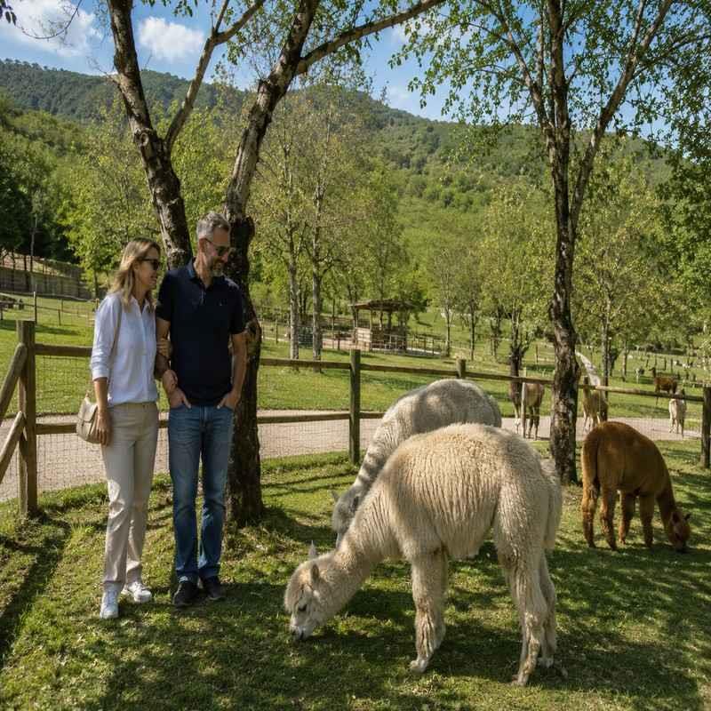 safari park shamakhi azerbaijan coupl