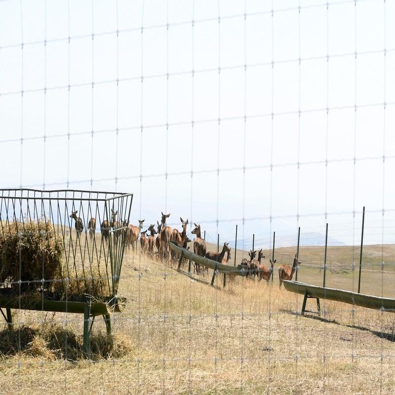 safari park shamakhi shamakhi azerbaijan