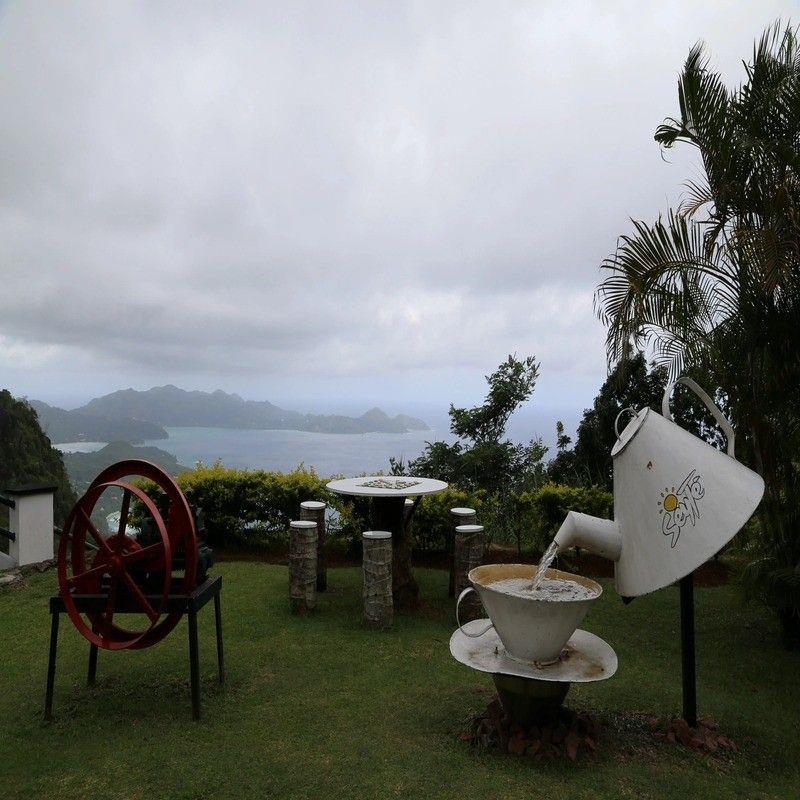 seychelles tea factory seychelles