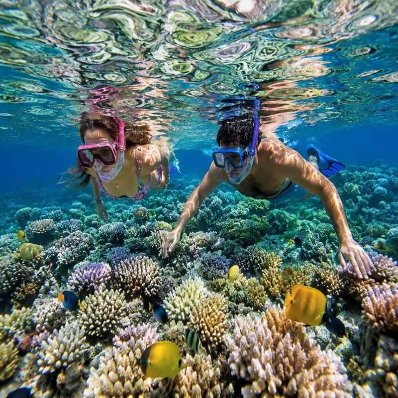 snorkelling seychelles couple