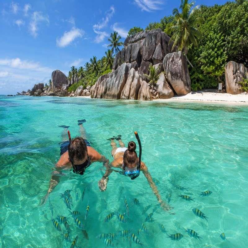 snorkelling seychelles honeymoon