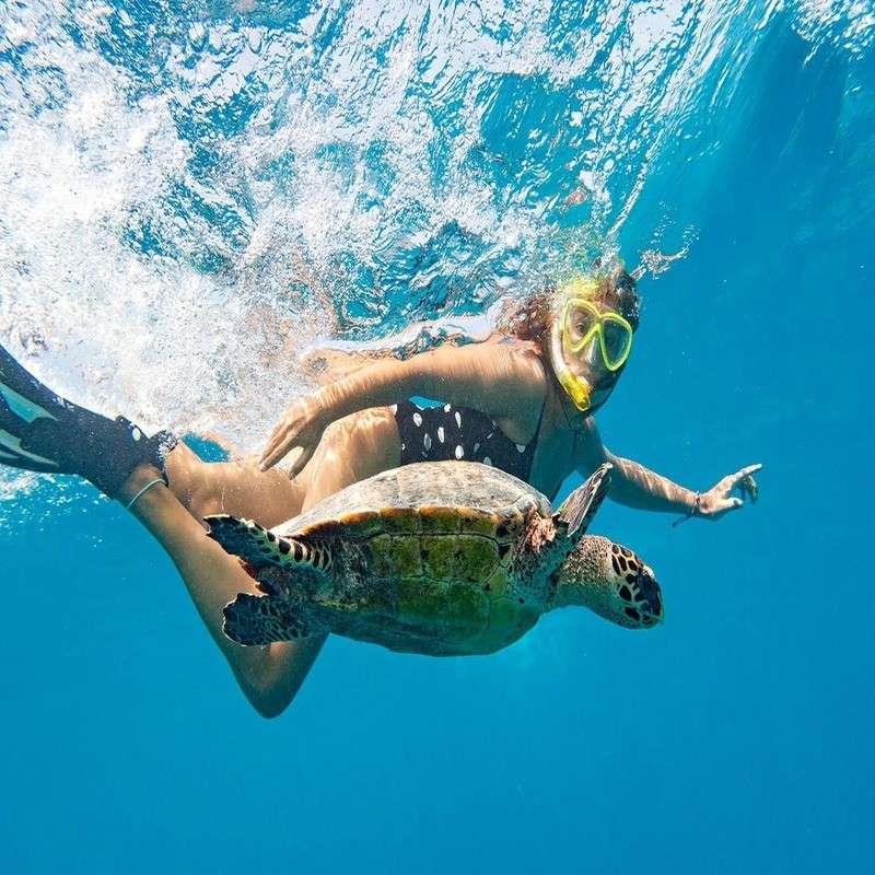 snorkelling seychelles