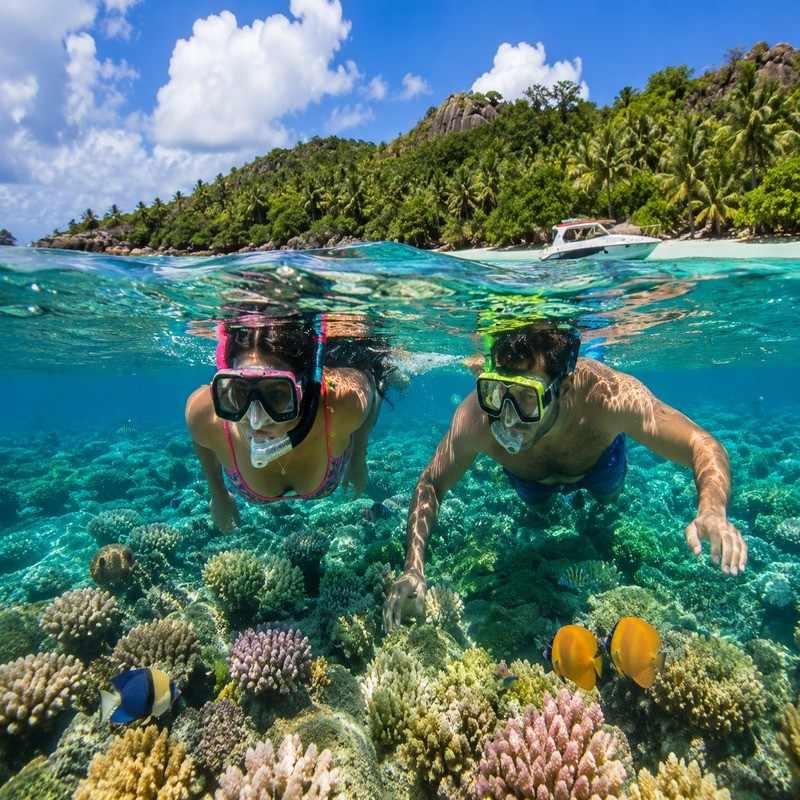 sainte anne marine park snorkelling seychelles honeymoon