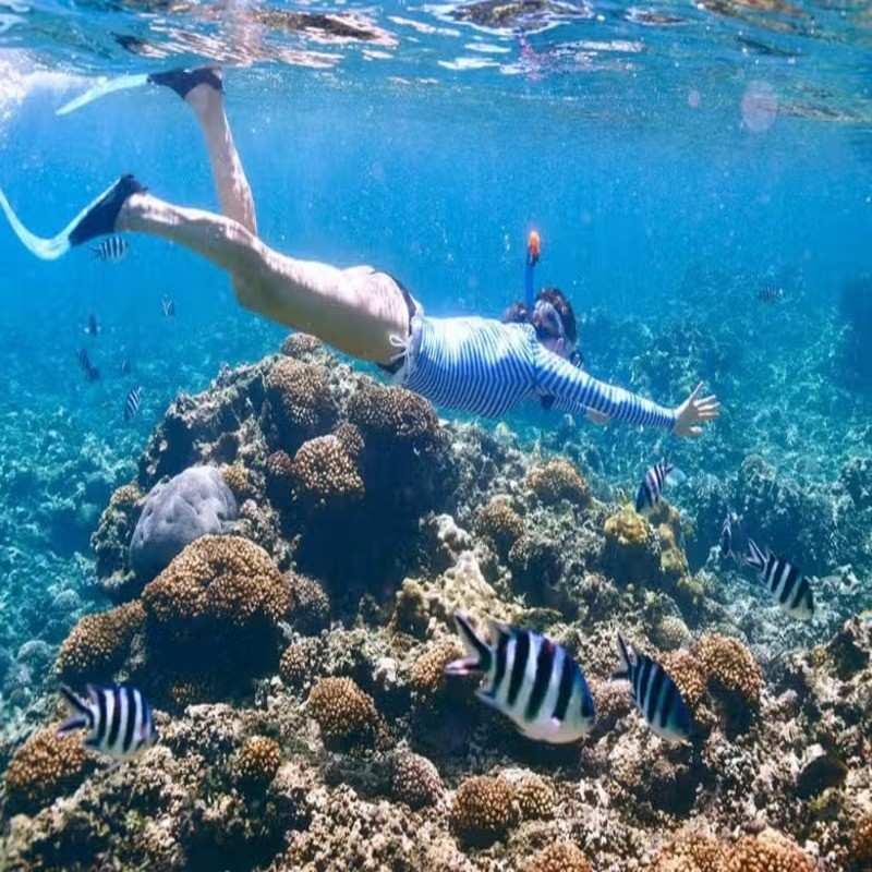 sainte anne marine park snorkelling seychelles