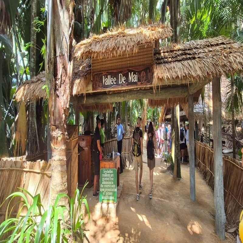 vallee de mai nature reserve unesco seychelles
