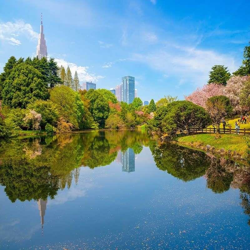 shinjuku gyoen national garden tokyo