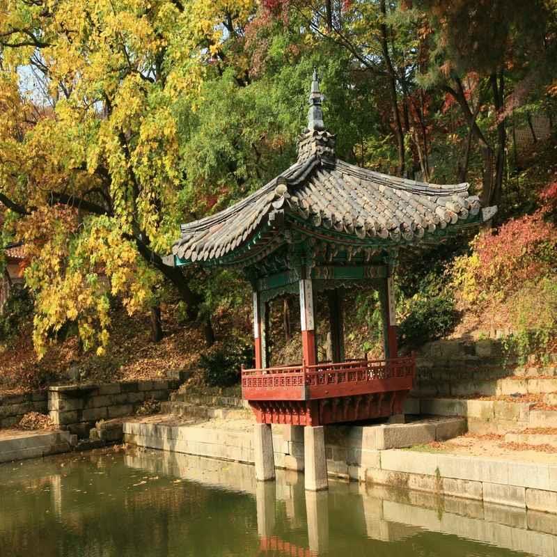 changdeokgung secret garden seoul