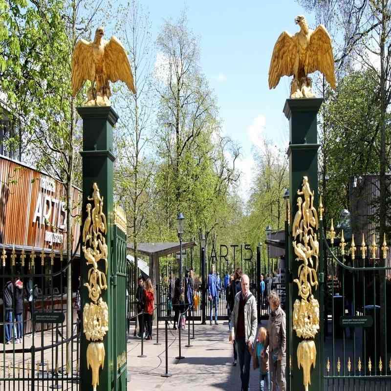 artis royal zoo amsterdam
