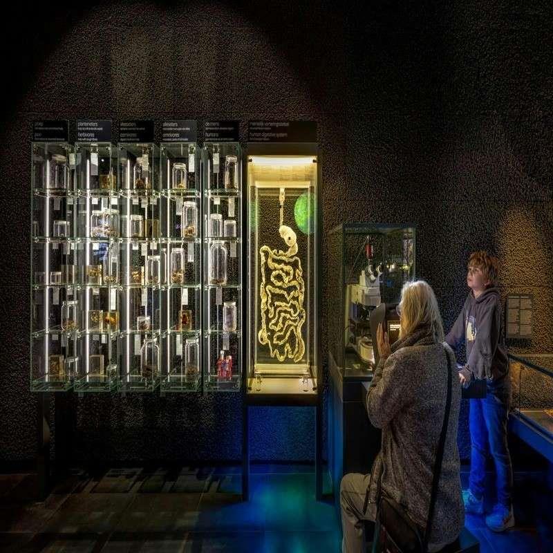 micropia amsterdam