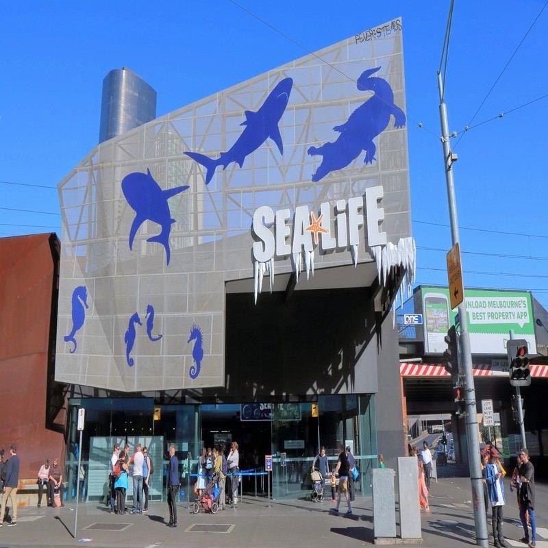 sea life melbourne aquarium melbourne 100kb