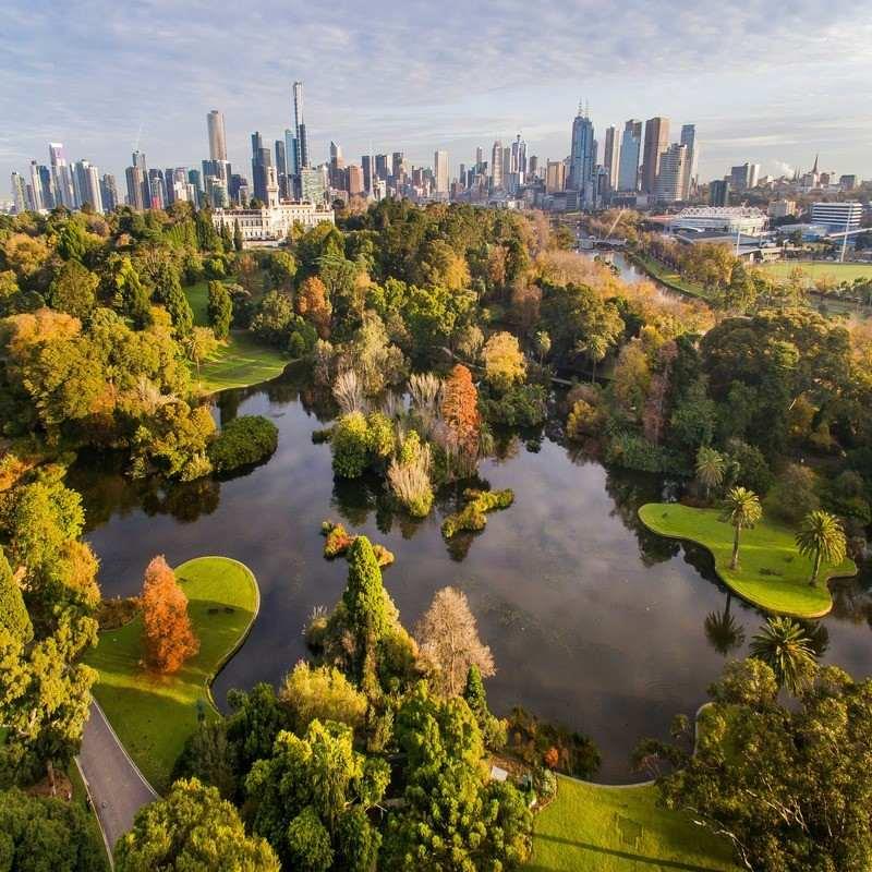 royal botanic gardens victoria melbourne gardens melbourne 100kb