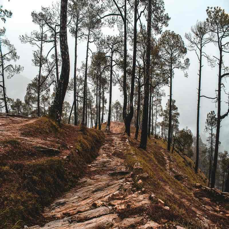 kufri  mahasu peak 100kb