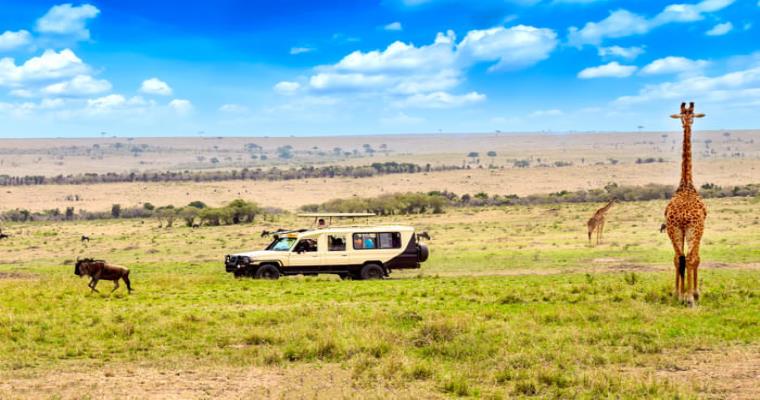 masai mara national reserve 02