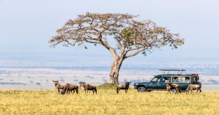 masai mara national reserve 03