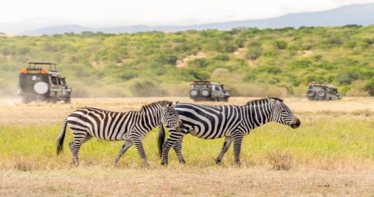 masai mara national reserve