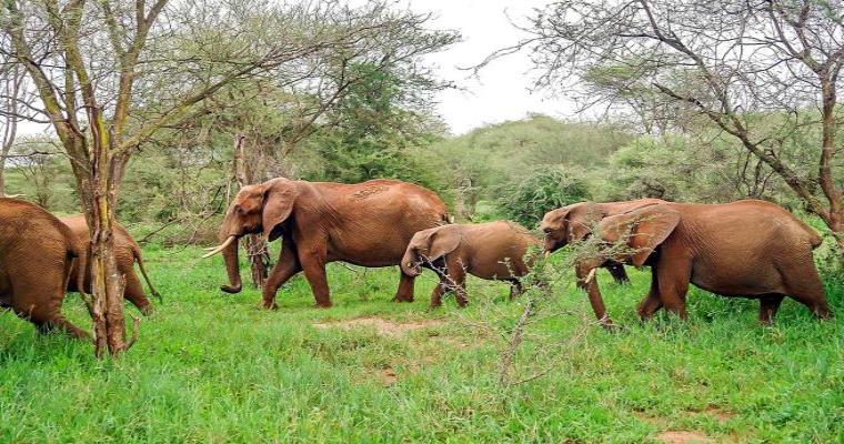 mwagna national park