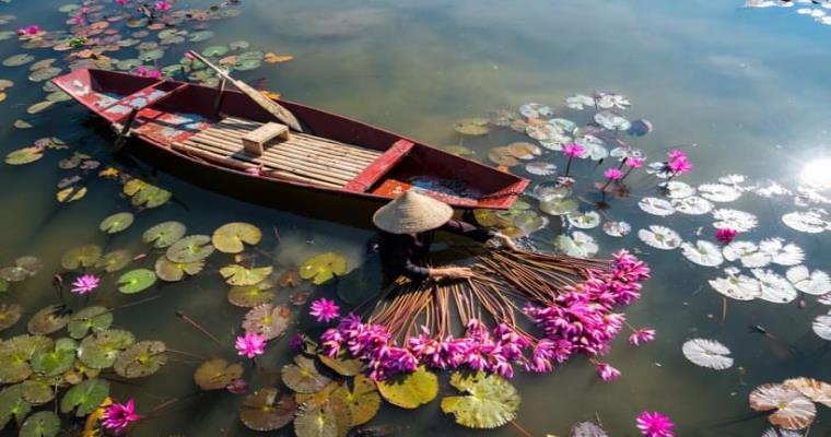 vietnam