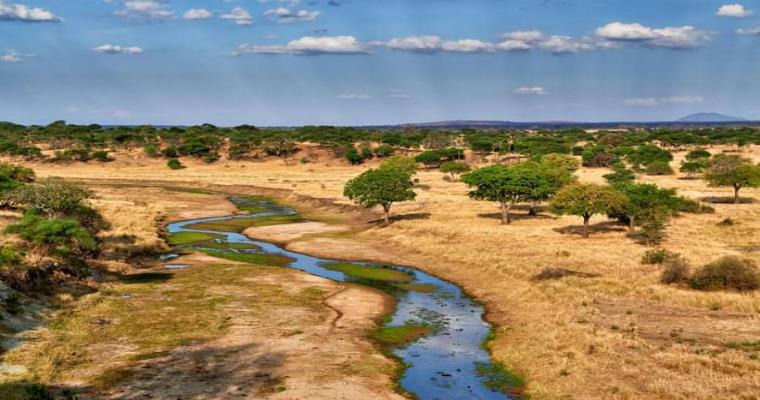 tarangire national park