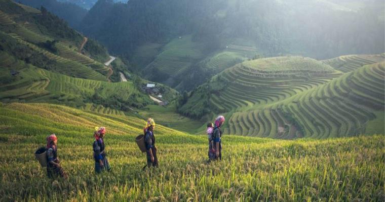 remote northern thailand trekking