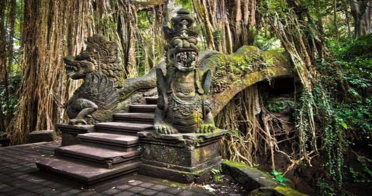 sacred monkey forest