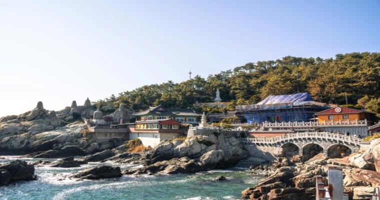 south korea cherry blossoms 04